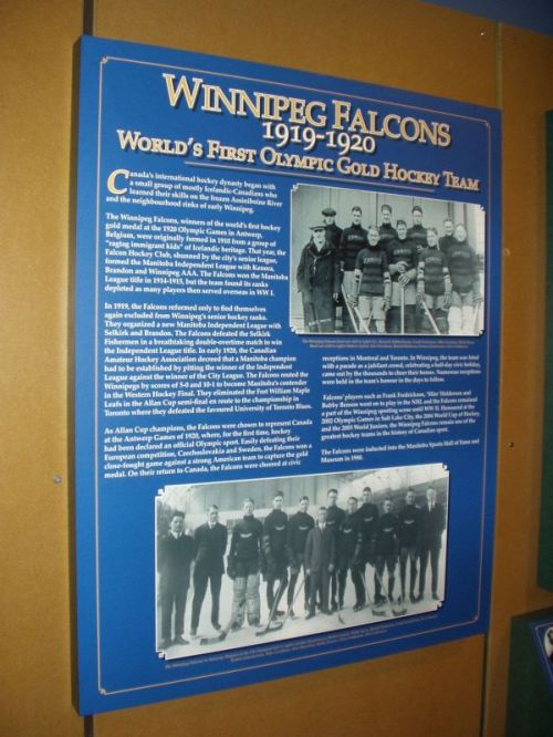 falcons story